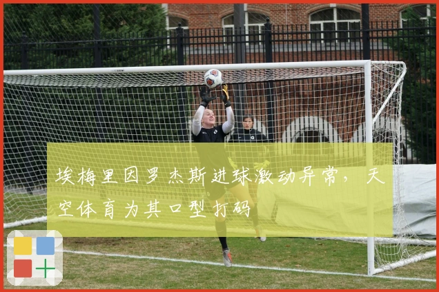 埃梅里因罗杰斯进球激动异常，天空体育为其口型打码